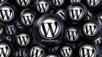 WordPress Websites